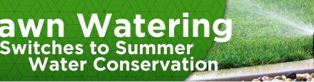 Lawn Watering Switches to Summer Water Conservation Plan