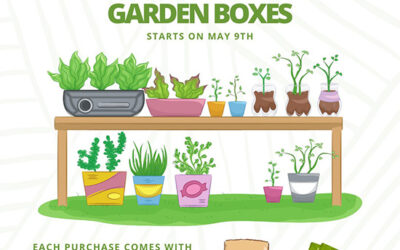 Parks and Rec Department Offers Community Wildflower Garden Box Program