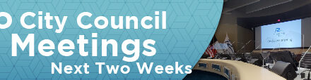 No City Council Meetings Next Two Weeks