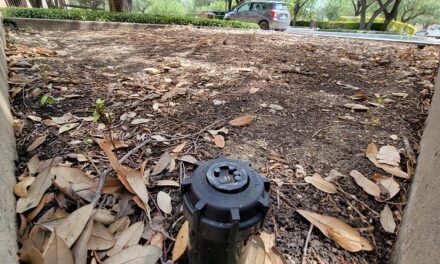 Summer Water Conservation Still in Place Amidst Rain 