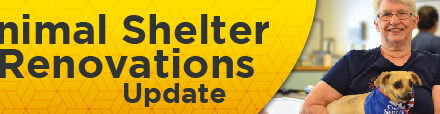 Animal Shelter Renovations Update