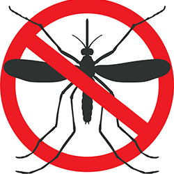 Mosquito Testing Continues; No Positive Test Results Yet