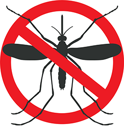 Mosquito Testing Continues; No Positive Test Results Yet