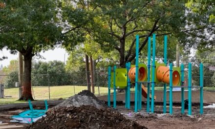 <strong>Woodhaven Grove Park Update</strong> 