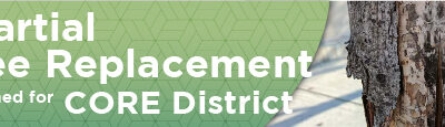 Partial Tree Replacement Planned for CORE District