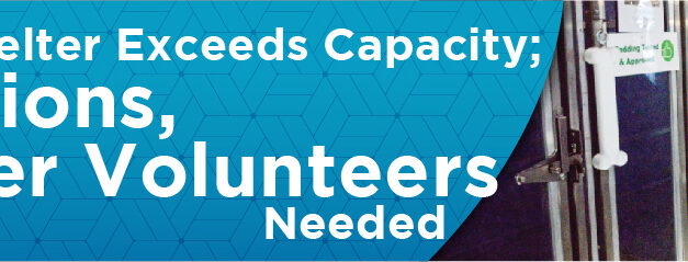 <strong>Animal Shelter Exceeds Capacity; Adoptions, Foster Volunteers Needed</strong> 