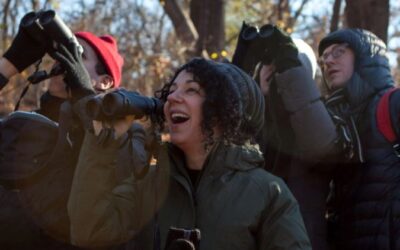 Great Backyard Bird Count This Weekend