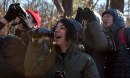 Great Backyard Bird Count This Weekend