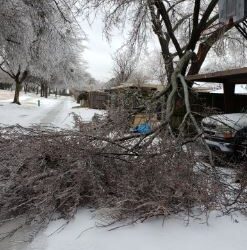 Winter Storm Safety, Cleanup Info Just a Click Away