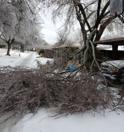 Winter Storm Safety, Cleanup Info Just a Click Away