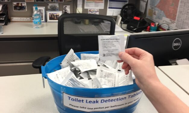 <strong>“Fix a Leak Week” Begins Monday; City Offering Free Leak Detection Tablets</strong> 