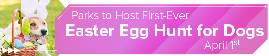<strong>City to Host First-Ever Easter Egg Hunt for Dogs April 1</strong> 