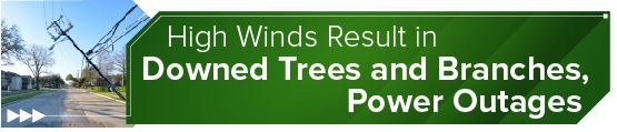 High Winds Result in Downed Trees and Branches, Power Outages
