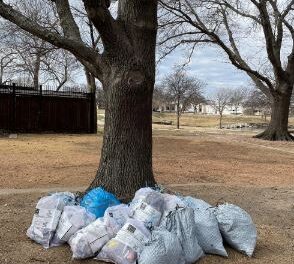 Cottonwood Creek Neighbors Gather to Clean Up Creek