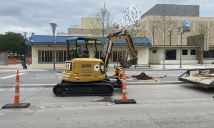 New Trees Planted in CORE District