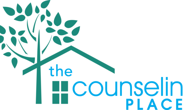 City Council Updated on The Counseling Place
