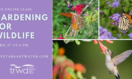 “Gardening for Wildlife” Online Class