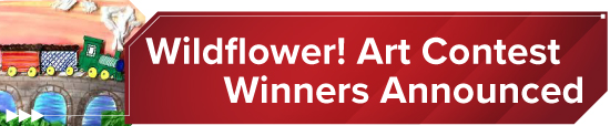 Wildflower! Art Contest Winners Announced 