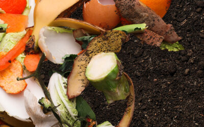 Time to Try Composting 