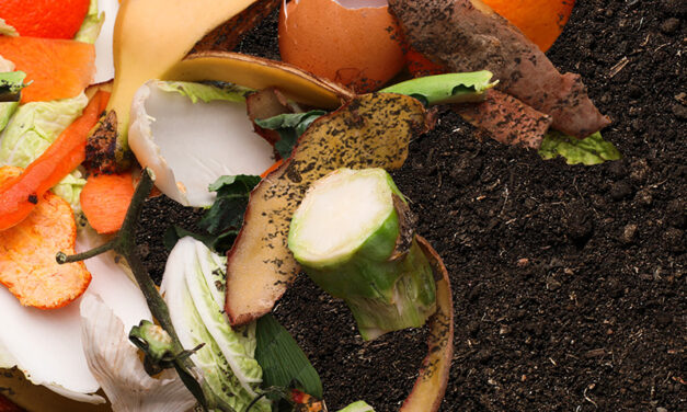 Time to Try Composting 