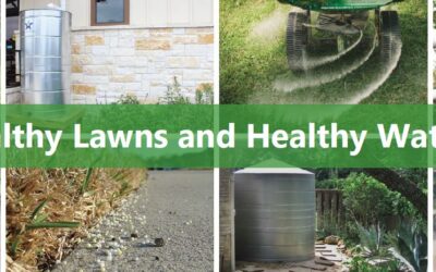 Rainwater harvesting and turf management training July 21, 2023