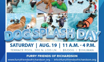 Dog Splash Day Set for Aug. 19