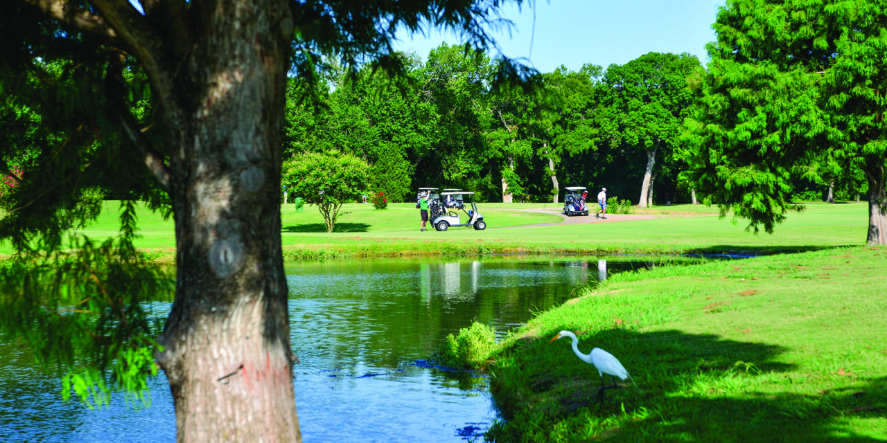 Sherrill Park Celebrates 50th Anniversary