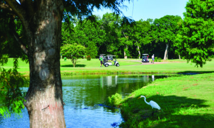 Sherrill Park Celebrates 50th Anniversary