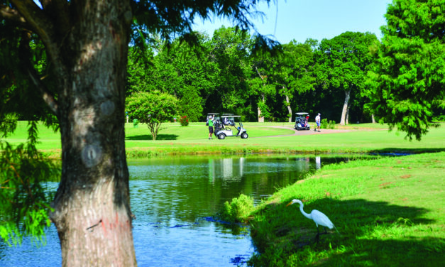 Sherrill Park Celebrates 50th Anniversary