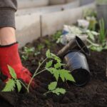 Free Online Soils and Bed Prep Class Next Saturday 