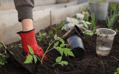 Be a Part of Richardson Woman’s Club’s Annual Garden Tour