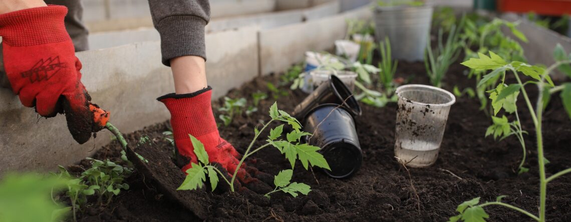 Free Online Soils and Bed Prep Class Next Saturday 