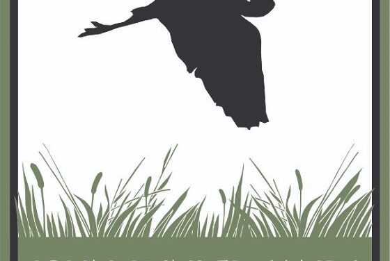 Tour “Our” Wetland Tomorrow Morning 