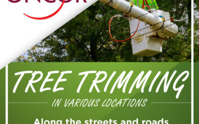Oncor to Trim Trees in Canyon Creek Throughout October