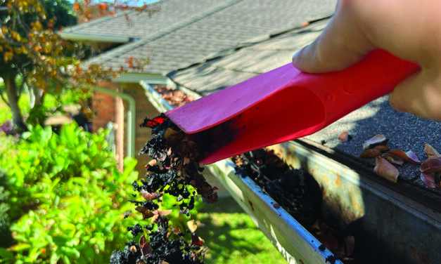 Clean Rain Gutters to Prevent Home Damage, Pests 