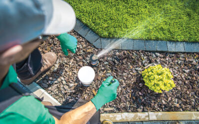 Free Sprinkler Evaluations Still Available 