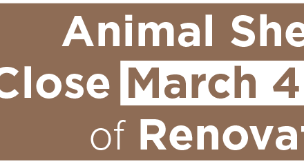 Animal Shelter to Close March 4-5 Ahead of Renovations 