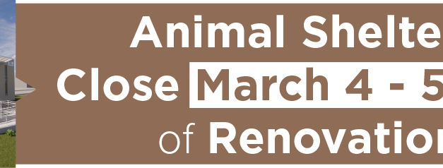 Animal Shelter to Close March 4-5 Ahead of Renovations 