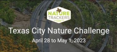 Texas City Nature Challenge Begins Today 