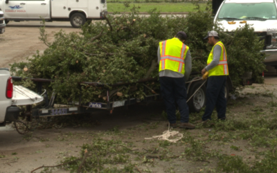 City Council Continues Disaster Declaration;FEMA Funds Now Available to Dallas, Collin County Residents who apply for assistance and are approved by FEMA