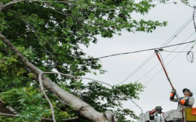 Oncor Service Line Damage