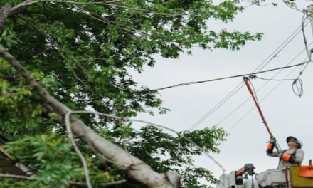 Oncor Service Line Damage 