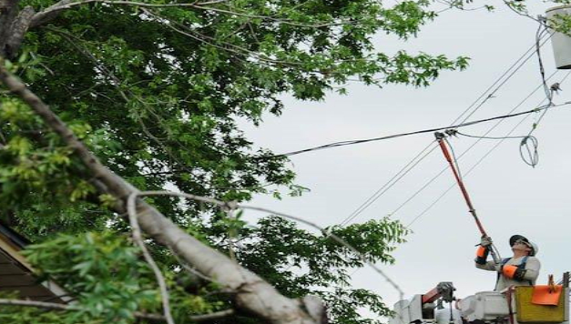 Oncor Service Line Damage 