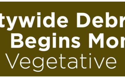 Citywide Debris Removal Begins Monday for Vegetative Damage