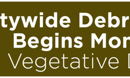 Citywide Debris Removal Begins Monday for Vegetative Damage