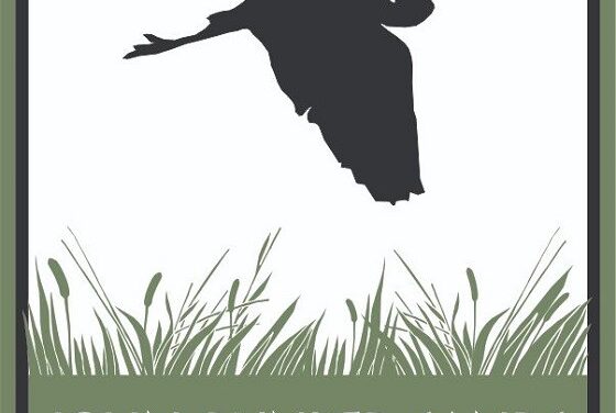 Guided Boardwalk Tour at JBS Wetland Center Tomorrow Morning 