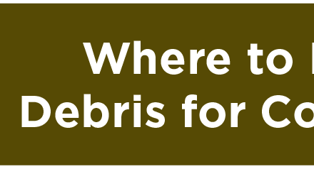 Where to Place Debris for Collection 