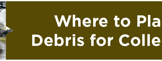 Where to Place Debris for Collection 