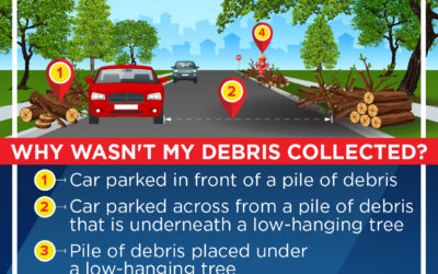 Storm-Related Debris Cleanup Progresses; FAQs 