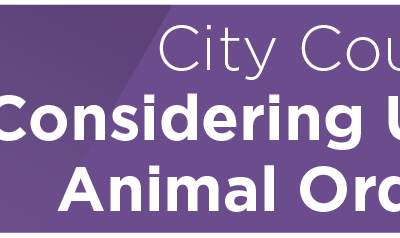 City Council Considering Update to Animal Ordinance